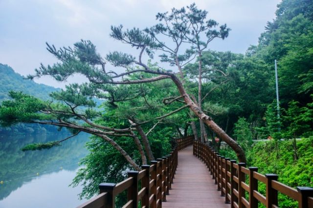 입곡군림공원. / 함안군 공식 블로그