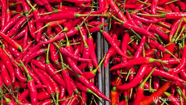 고추 자료사진. / March Studio-shutterstock.com
