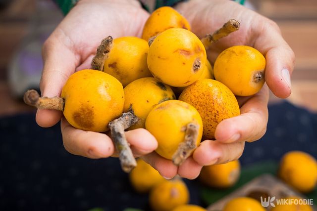 비파 나무 열매 자료사진. / Viktor Kochetkov-shutterstock.com