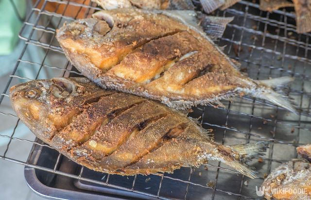 병어 자료사진. / GracePhotos-shutterstock.com