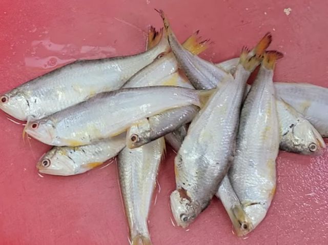 반지. / 유튜브 채널 '먹고 노는 블로거C'