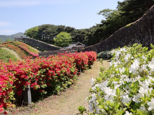 고창읍성. / 고창군 공식 블로그