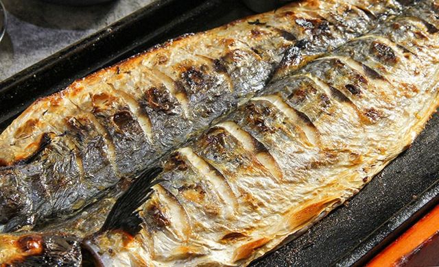 이태리로 간 고등어. / 업체등록사진