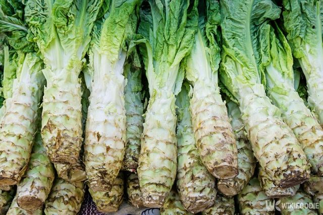 아스파라거스, 셀러리와 비슷한 줄기를 가진 줄기상추. / Emily Li-shutterstock.com