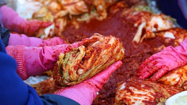 김치 사진. 이해를 돕기 위한 사진. / bigshot01-shutterstock.com