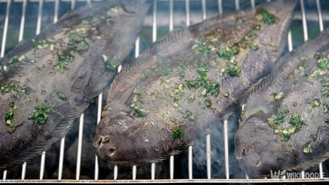 서대는 담백한 맛과 단단한 식감이 일품인 생선이다. / Steidi-shutterstock.com