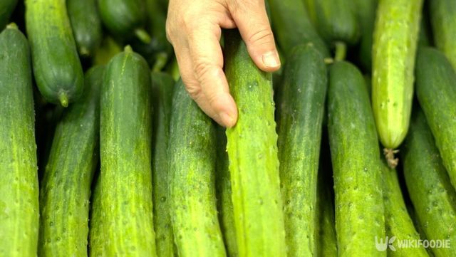 오이는 수분 보충에 매우 좋은 음식이다. / Mediachef-shutterstock.com