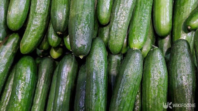 오이 자료사진. / photoK-jp-shutterstock.com