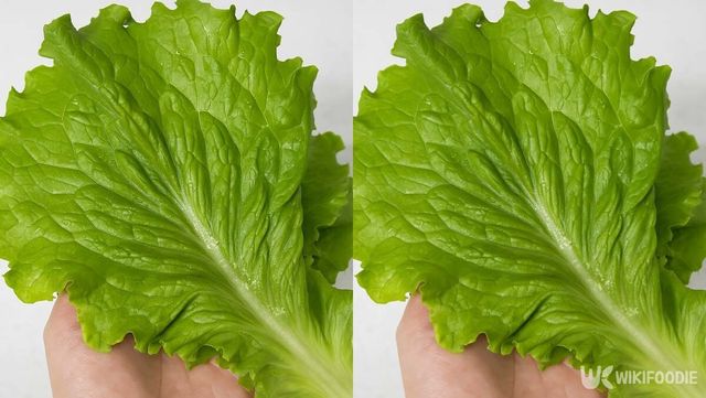 기사 이해를 돕기 위한 자료 사진 / 위키푸디