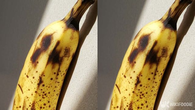 기사 이해를 돕기 위한 자료 사진 / 위키푸디