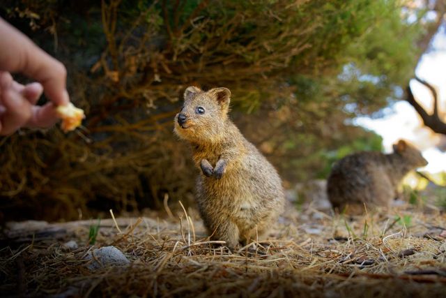 기사 이해를 돕기 위한 자료 사진 / Martin Pelanek- shutterstock