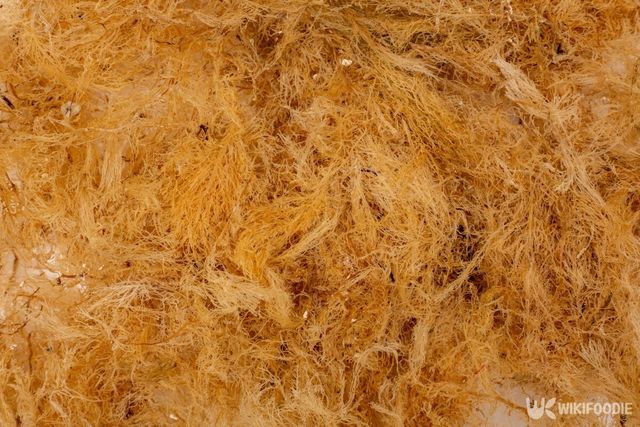 말린 우뭇가사리. / Ayagao-shutterstock.com