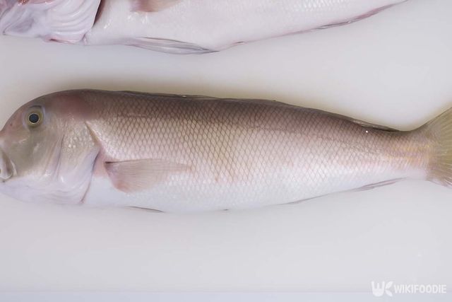 기사 이해를 돕기 위한 자료 사진 / 위키푸디