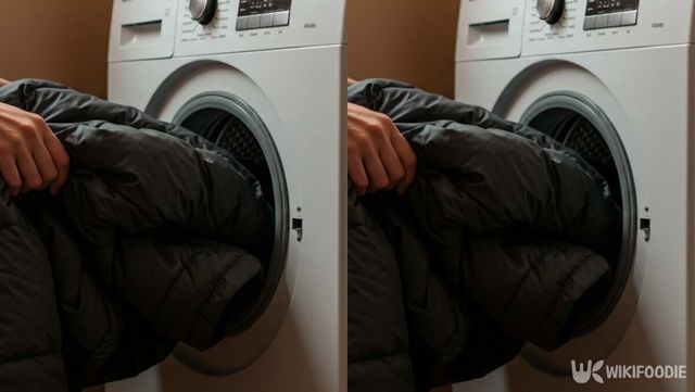 기사 이해를 돕기 위한 자료 사진 / 위키푸디