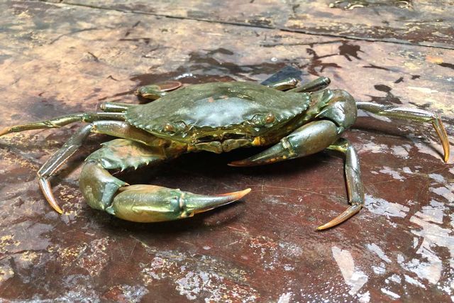 기사 이해를 돕기 위한 자료 사진 / ninekrai-shutterstock