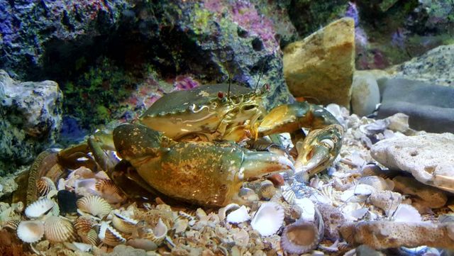 기사 이해를 돕기 위한 자료 사진 / Wira SHK-shutterstock