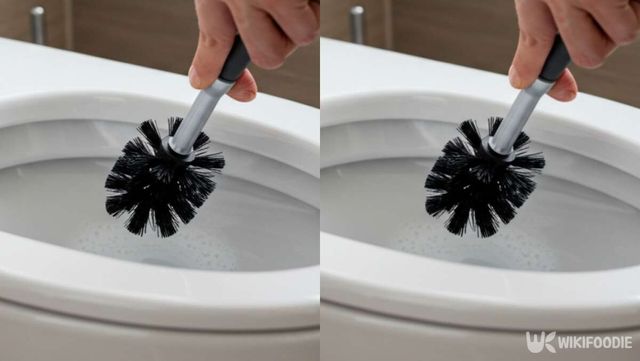 기사 이해를 돕기 위한 자료 사진 / 위키푸디