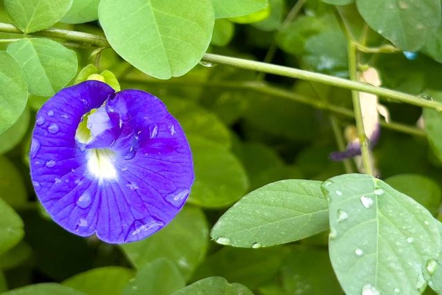 기사 이해를 돕기 위한 자료 사진 /