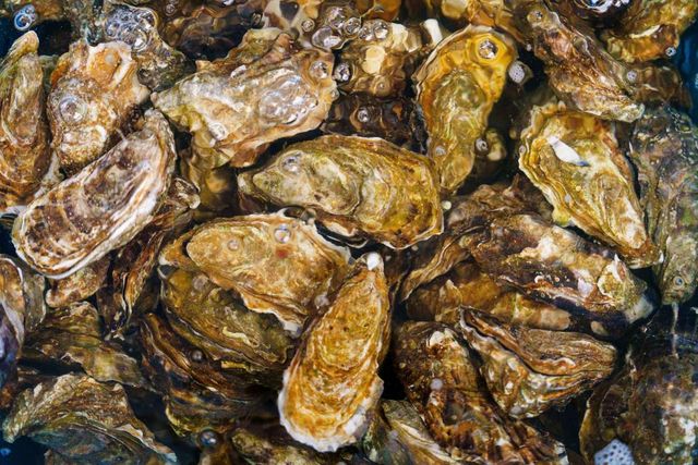 기사 이해를 돕기 위한 자료 사진 / InFocus.ee- shutterstock