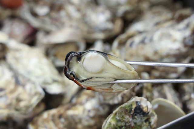 기사 이해를 돕기 위한 자료 사진 / ight Win