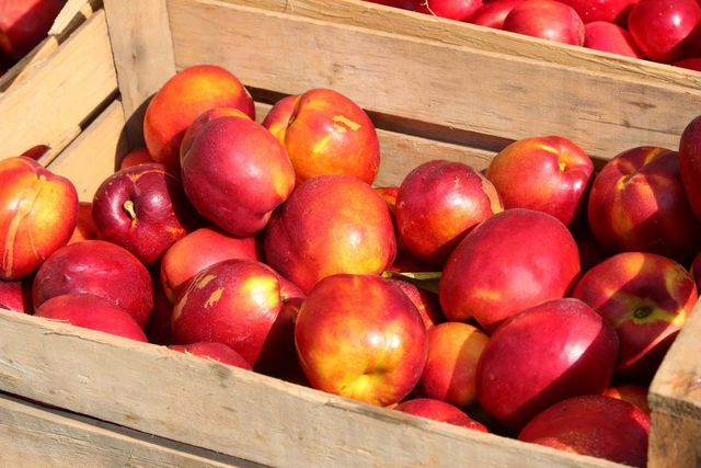 기사 이해를 돕기 위한 자료 사진 / ChiccoDodiFC- shutterstock