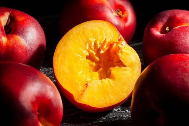 기사 이해를 돕기 위한 자료 사진 / bergamont- shutterstock