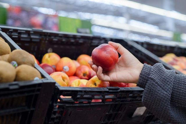 기사 이해를 돕기 위한 자료 사진 / Sandor Mejias B- shutterstock