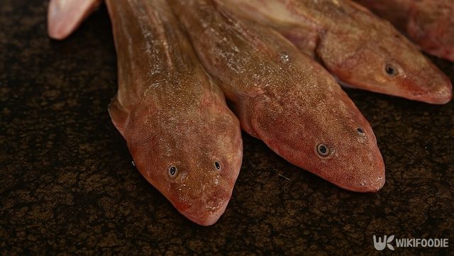 양태 자료사진. 해당 이미지는 기사 이해를 돕기 위해 AI로 재연하였습니다. / 위키푸디