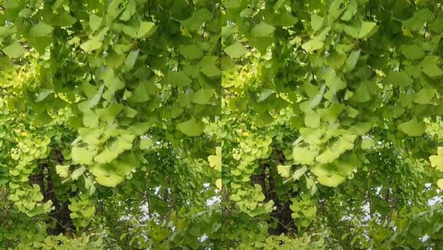 기사 이해를 돕기 위한 자료 사진 / '과학드림' 유튜브