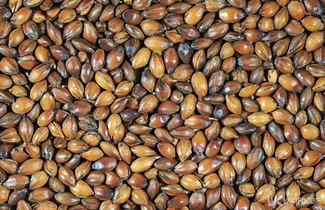 보리 자료사진. / lovelypeace-shutterstock.com