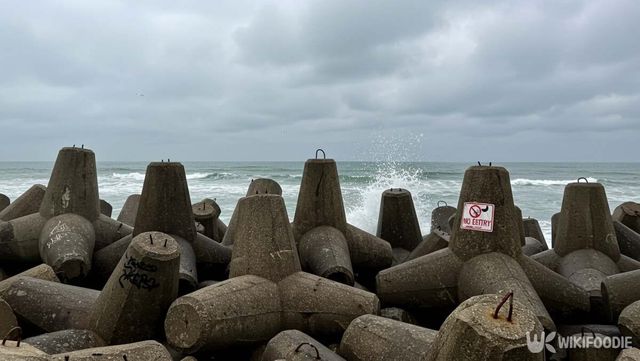 기사 이해를 돕기 위한 자료 사진 / 위키푸디