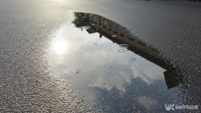 기사 이해를 돕기 위한 장마철 물웅덩이가 고인 도로 사진 / 위키푸디