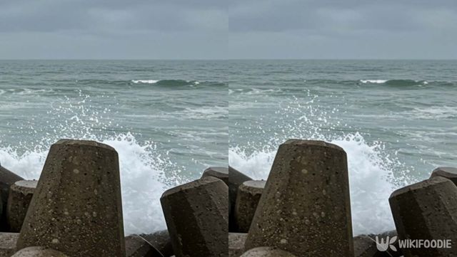 기사 이해를 돕기 위한 자료 사진 / 위키푸디