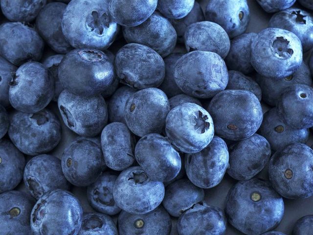블루베리 사진. / Grazziela-shutterstock.com