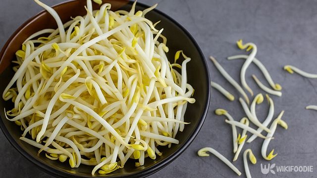 콩나물 자료사진. / 위키푸디