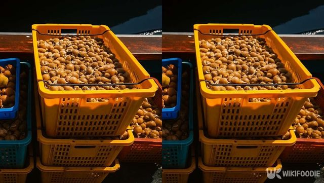 기사 이해를 돕기 위한 자료 사진 / 위키푸디