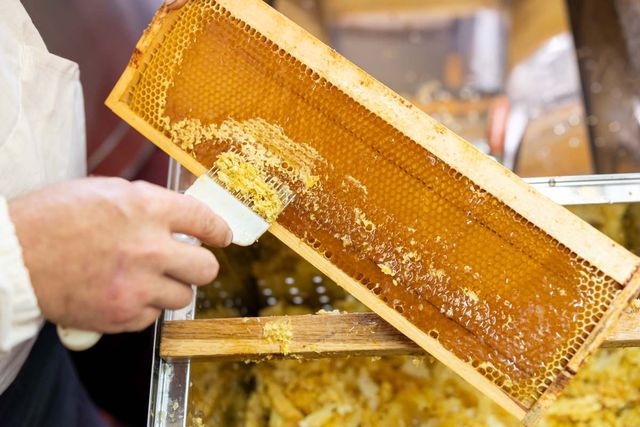 기사 이해를 돕기 위한 자료 사진 / Vitalii Stock- shutterstock