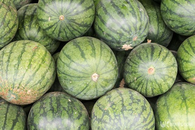 수박 자료사진. / trainman111-shutterstock.com