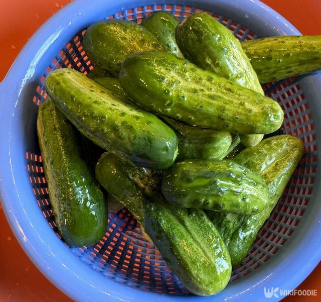 오이 자료사진. / The Humanoid-shutterstock.com