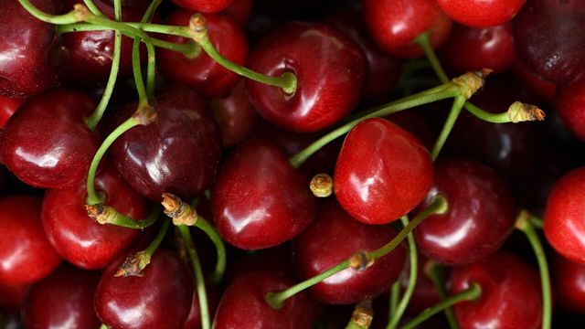 체리 사진. / Kovalchuk Oleksandr-shutterstock.com