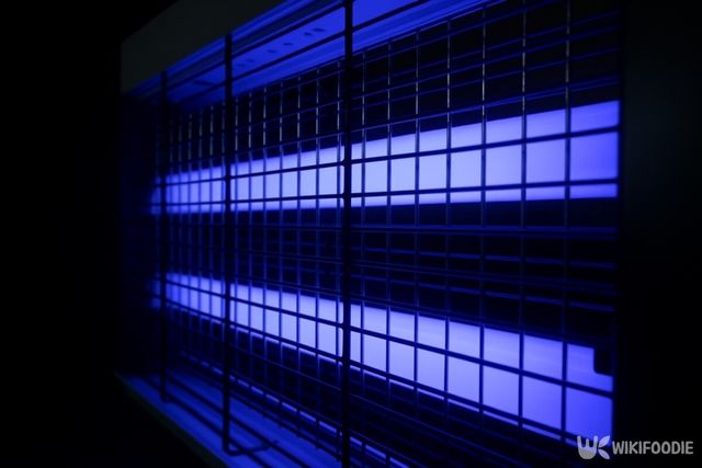 포충기 자료사진. 해당 이미지는 기사 이해를 돕기 위해 AI로 재연하였습니다. / 위키푸디