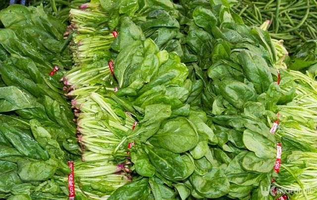 살충제게 가장 많이 오염된 채소는 시금치로 밝혀졌다. / Zigzag Mountain Art-shutterstock.com