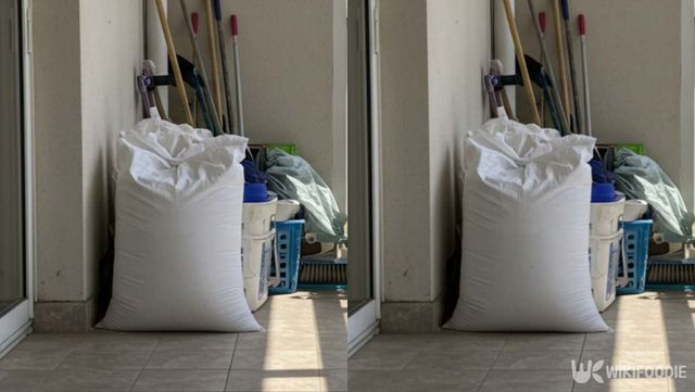 기사 이해를 돕기 위한 자료 사진 / 위키푸디