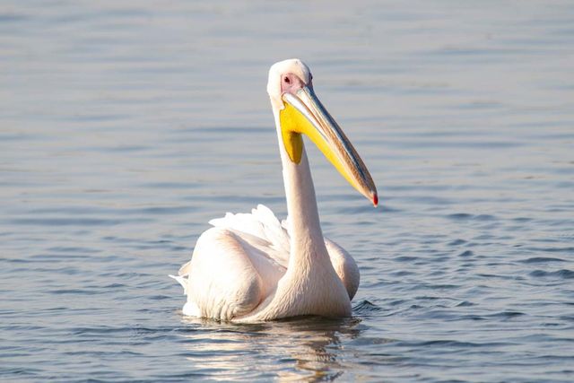 기사 이해를 돕기 위한 자료 사진 / SIDDHARTH_TIWARI 36- shutterstock