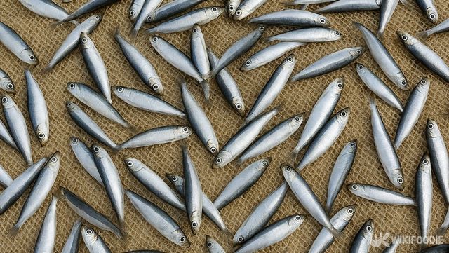 밴댕이 자료 사진. / 위키푸디