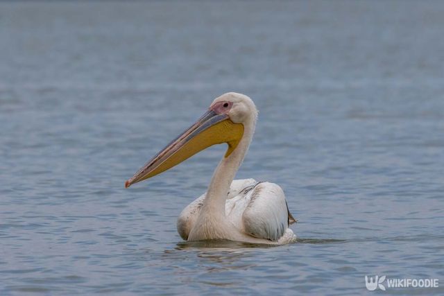 기사 이해를 돕기 위한 자료 사진 / ms_pics_and_more- shutterstock
