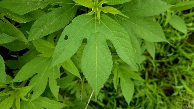 기사 이해를 돕기 위한 자료 사진 / This_is_JiHun_Lee