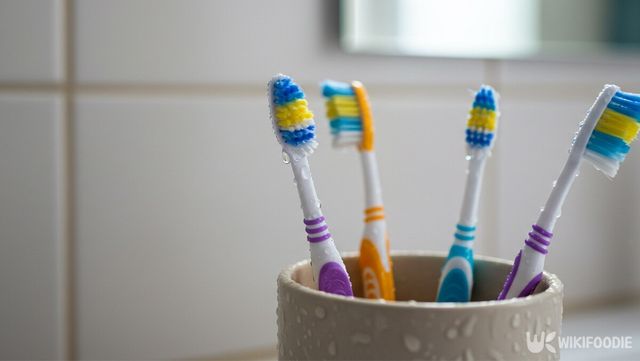 양치 컵 안 칫솔 자료 사진. / 위키푸디