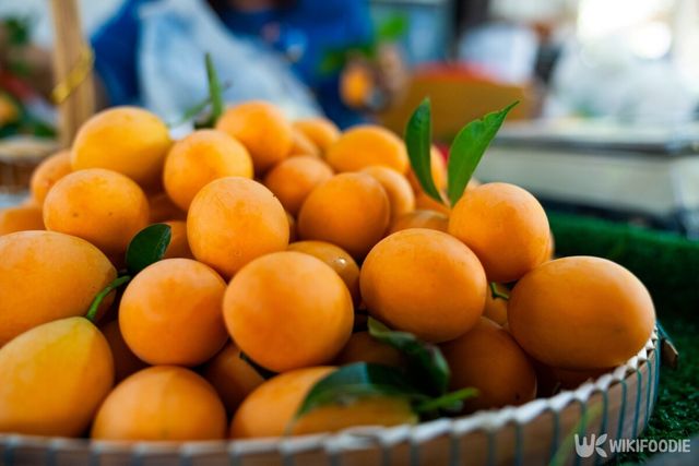 살구는 여름철 입맛을 돋우기 좋다. / A HIP A HUB STOCK-shutterstock.com