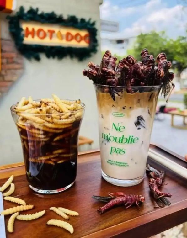 메뚜기 라떼와 대나무 벌레 아메리카노 사진. / 광명망